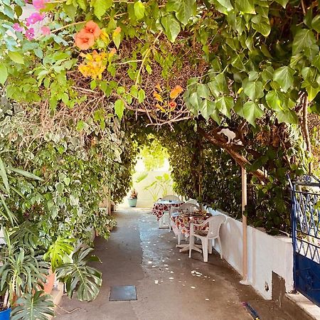 Afroditi Pension Archangelos  Exteriér fotografie